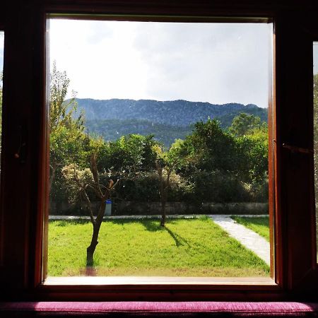 Seker Bungalov Appartement Çıralı Buitenkant foto
