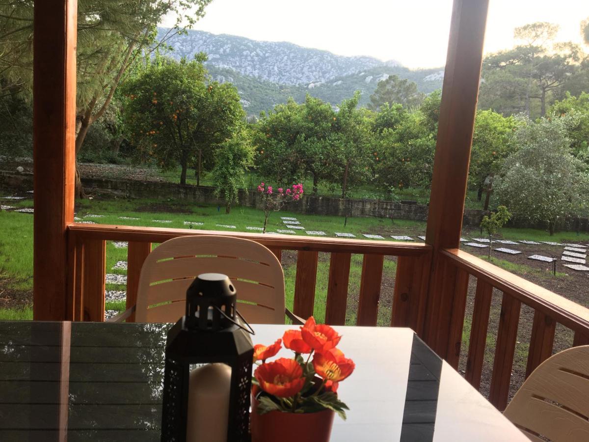 Seker Bungalov Appartement Çıralı Buitenkant foto