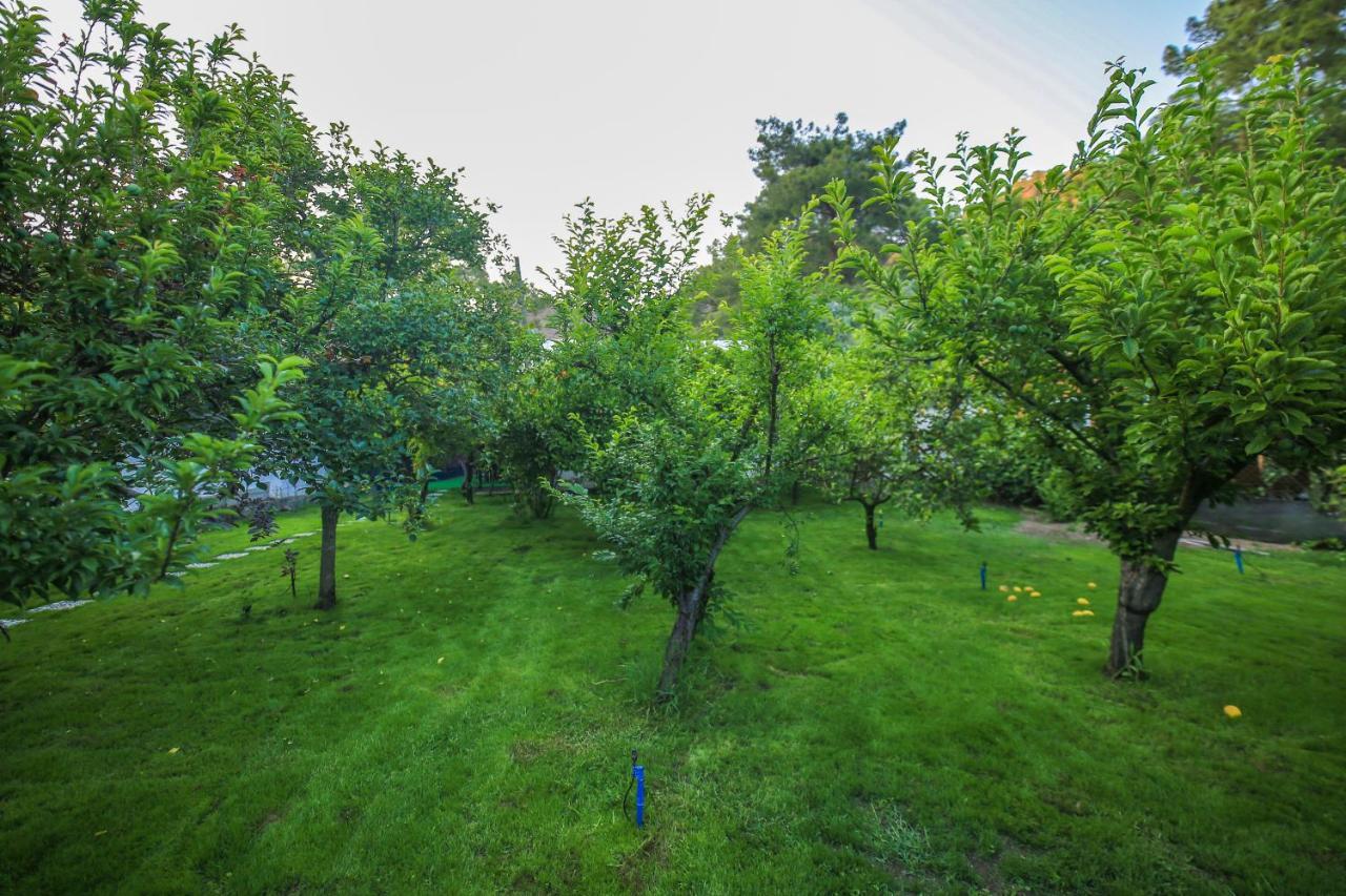 Seker Bungalov Appartement Çıralı Buitenkant foto