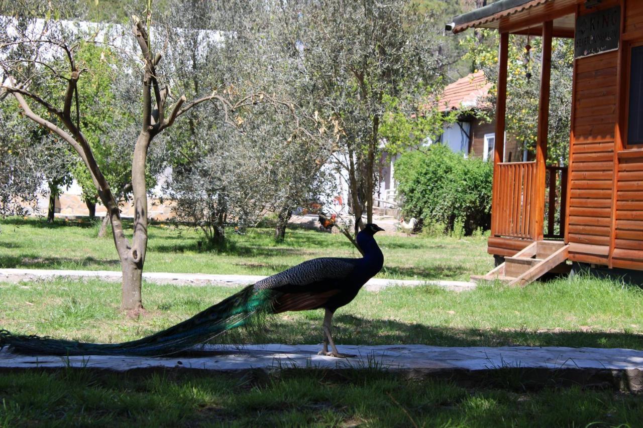 Seker Bungalov Appartement Çıralı Buitenkant foto
