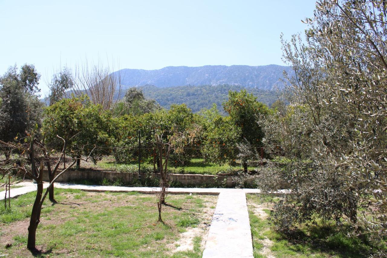 Seker Bungalov Appartement Çıralı Buitenkant foto
